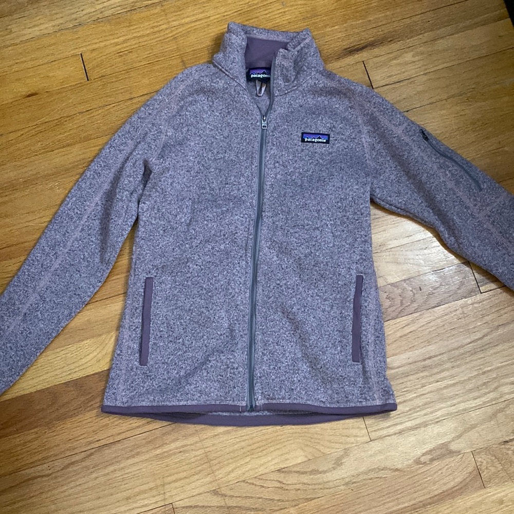 Patagonia Sweater Fleece Jacket